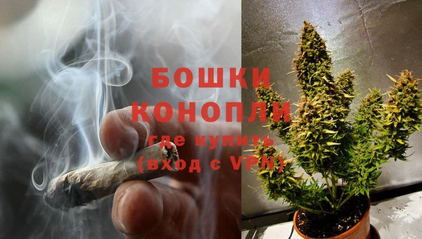 соль ск Нея