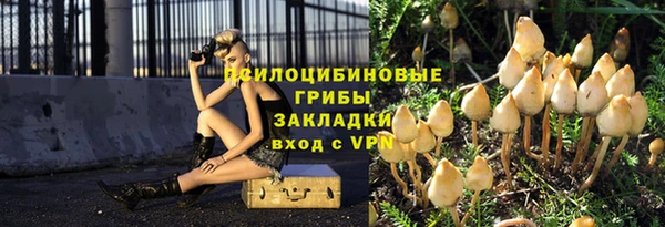 2c-b Нефтегорск